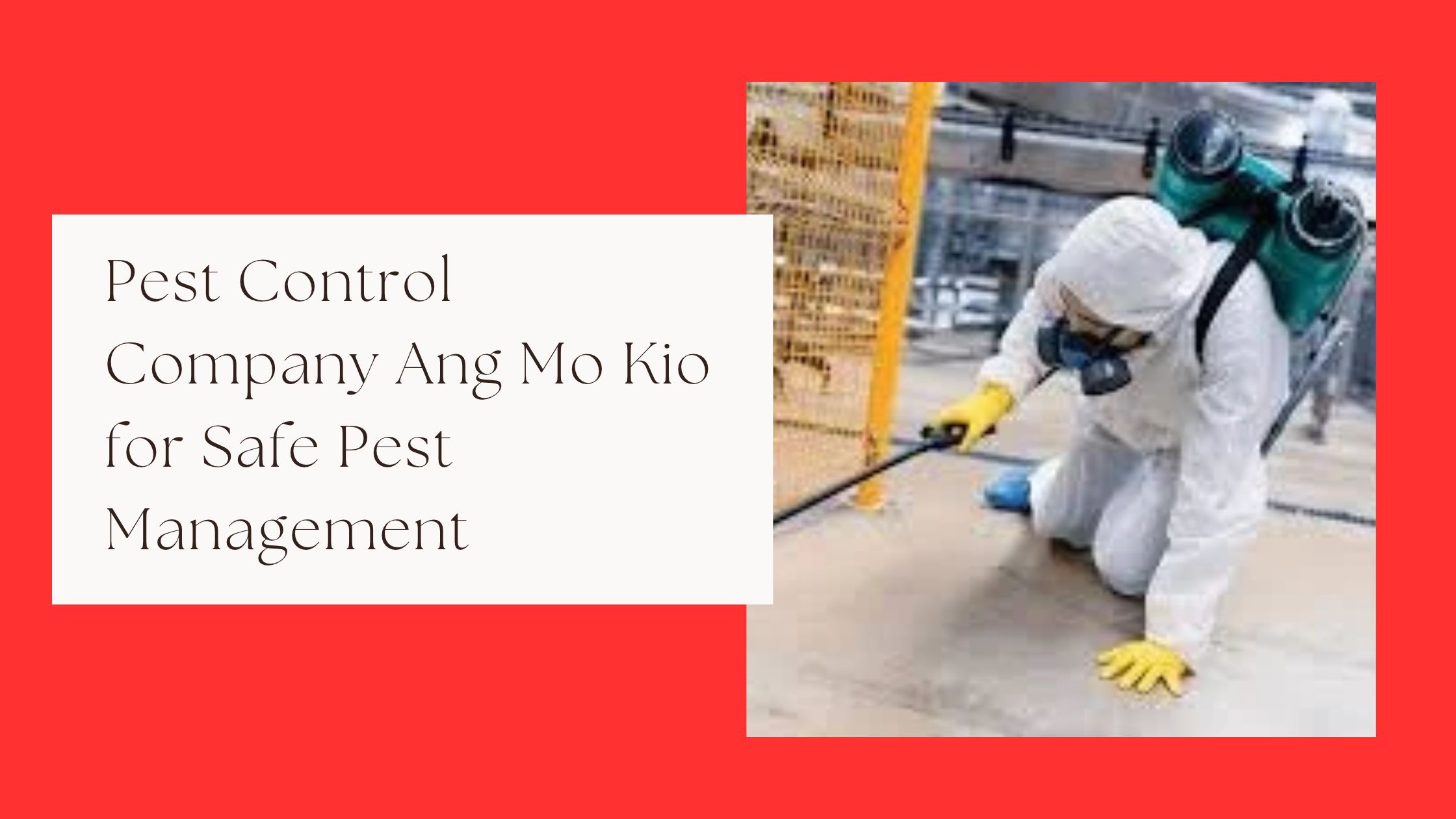 Pest control professional wearing protective equipment during pest treatment