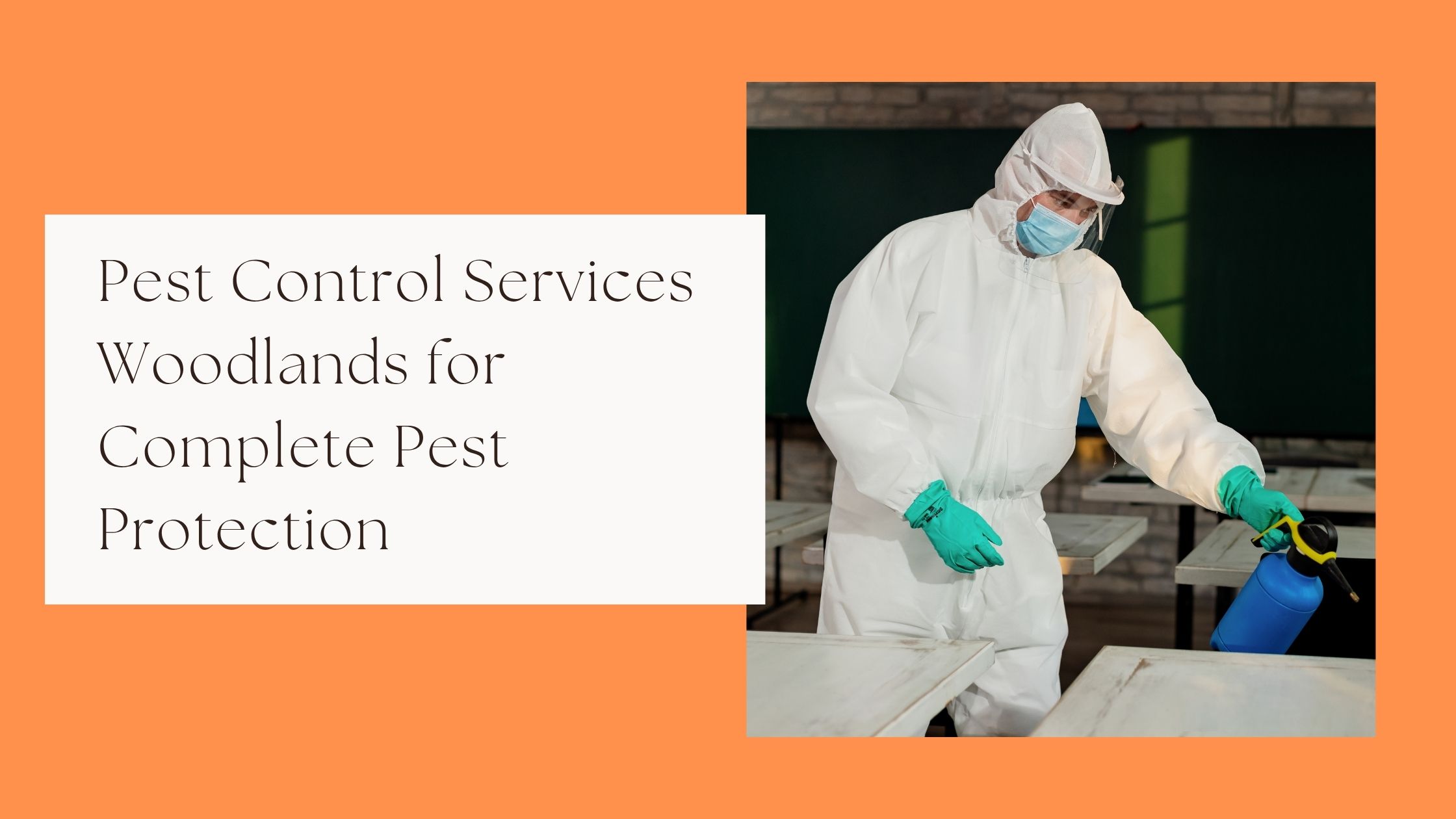 Professional pest control services for effective pest management in Woodlands